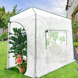Easy Setup 10x5 Portable Lean to Pop Up Greenhouse