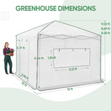 10x10 Easy Setup Pop Up Greenhouse - Eagle Peak®
