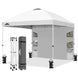 10x10 ft Pop Up Canopy Tent with Sidewall - Eagle Peak Custom Canopy Tent