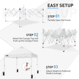 10x10 Heavy Duty Industrial Commercial Canopy Tent with 100 Sqft of Shade - Eagle Peak®