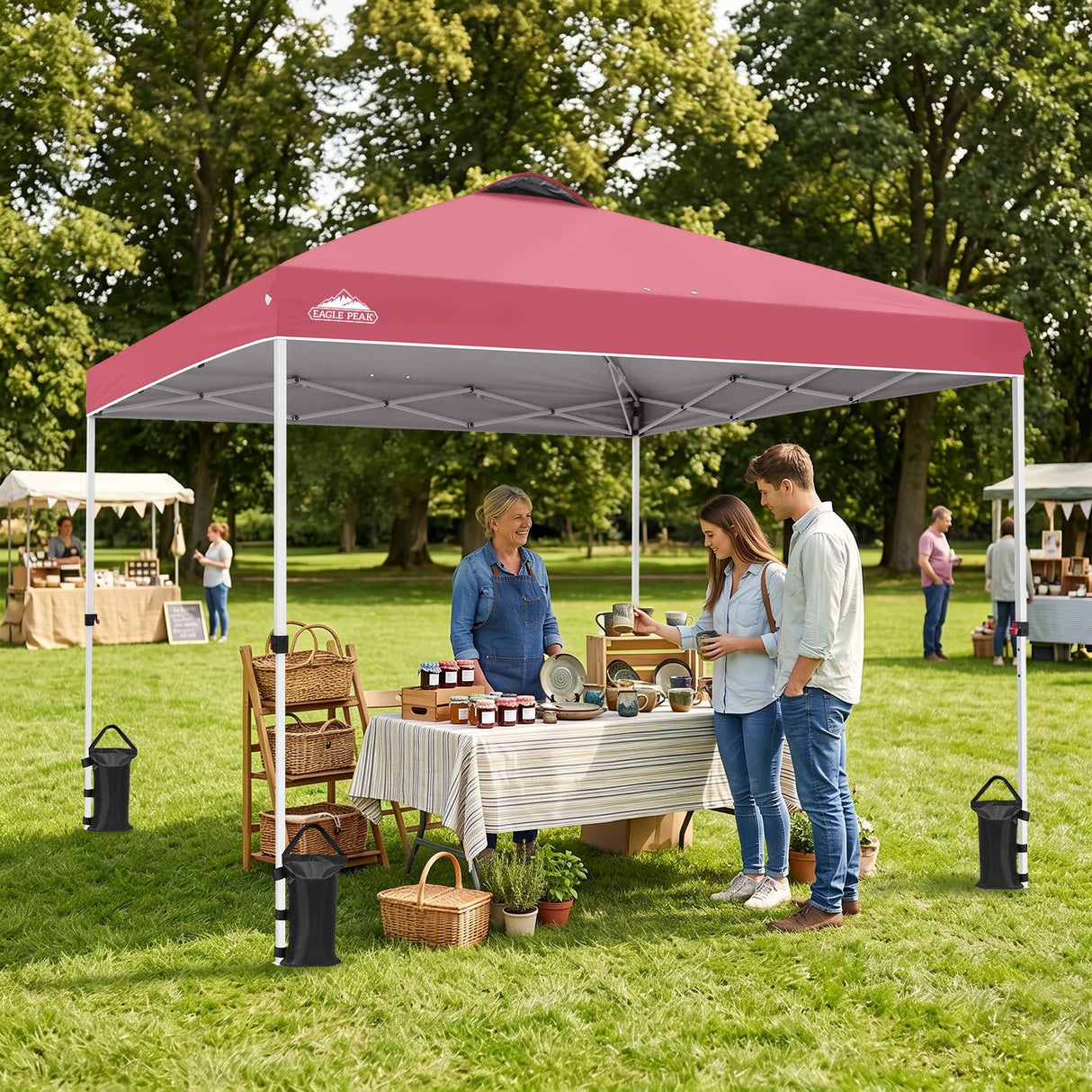 10x10 Pop Up Canopy Tent — Easy Setup with PeakPush™ Center Lock - Eagle Peak®