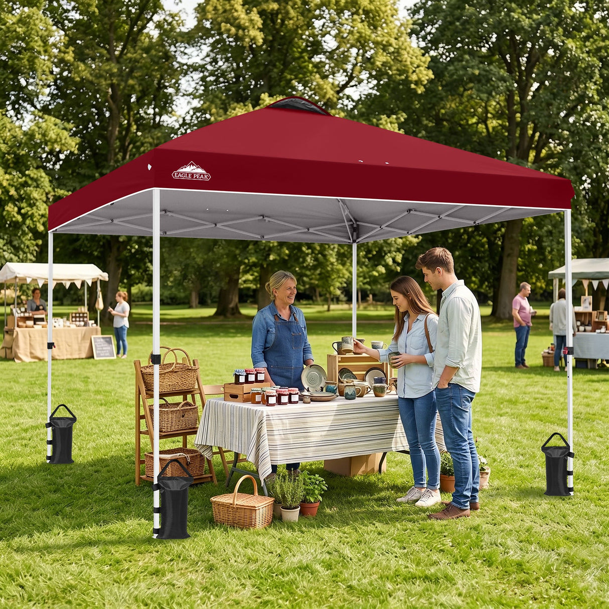 10x10 Pop Up Canopy Tent — Easy Setup with PeakPush™ Center Lock - Eagle Peak®