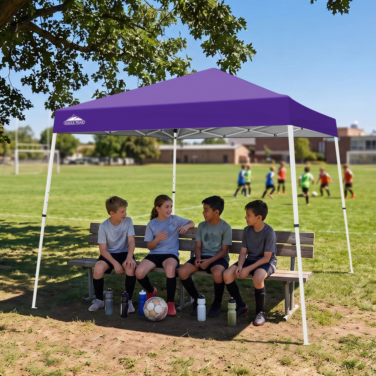 10x10 Slant Leg Pop Up Canopy Tent - Eagle Peak®