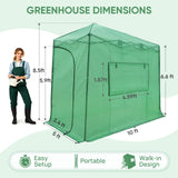 10x5 Easy Setup Pop Up Greenhouse, Lean-To Design - Eagle Peak®