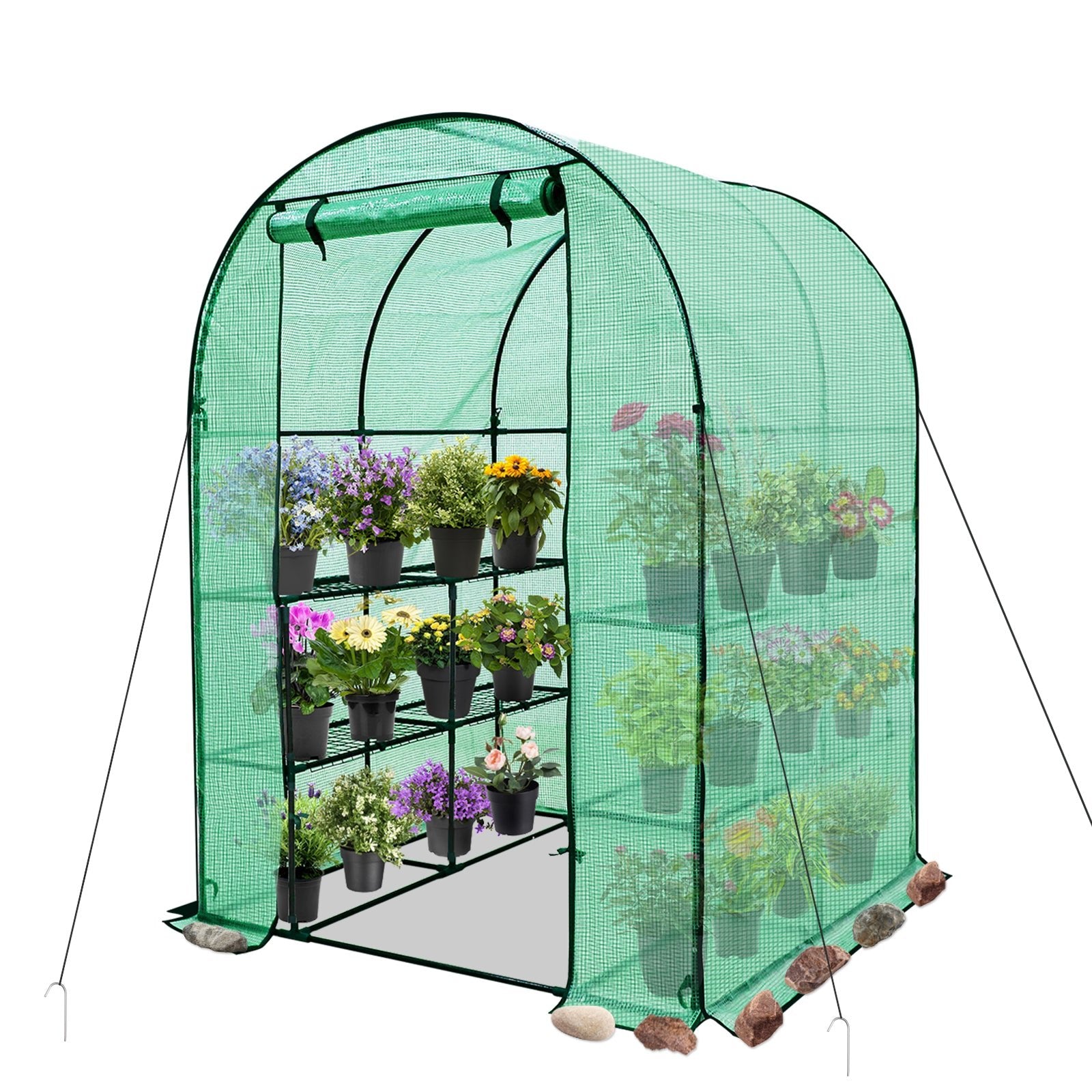 3-tier-walk-in-greenhouse-with
