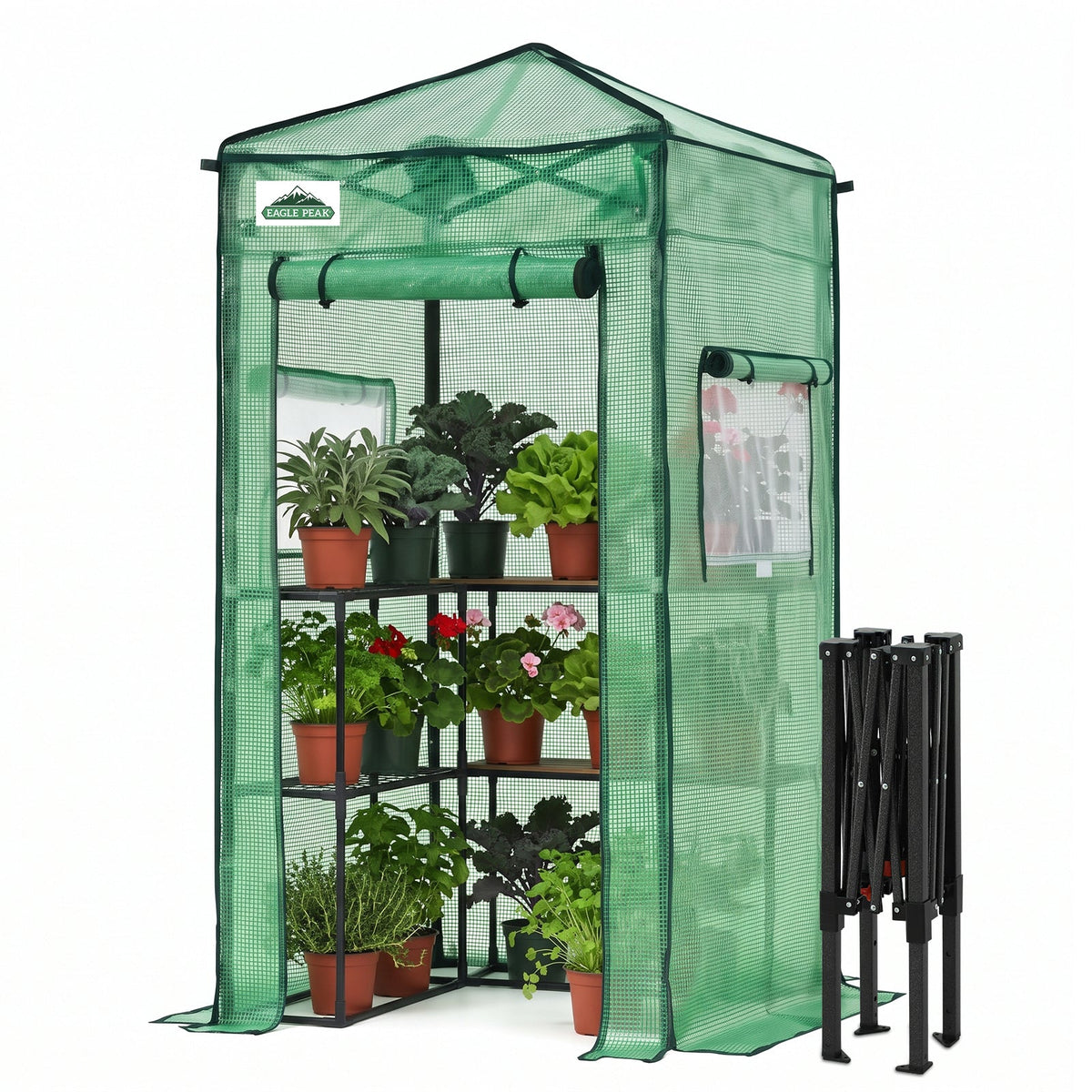 3x3 Easy Setup Small Pop Up Greenhouse - Eagle Peak®