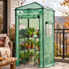 3x3 Easy Setup Small Pop Up Greenhouse - Eagle Peak®