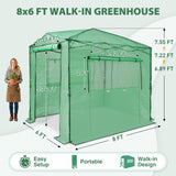 8x6 Easy Setup Pop Up Greenhouse