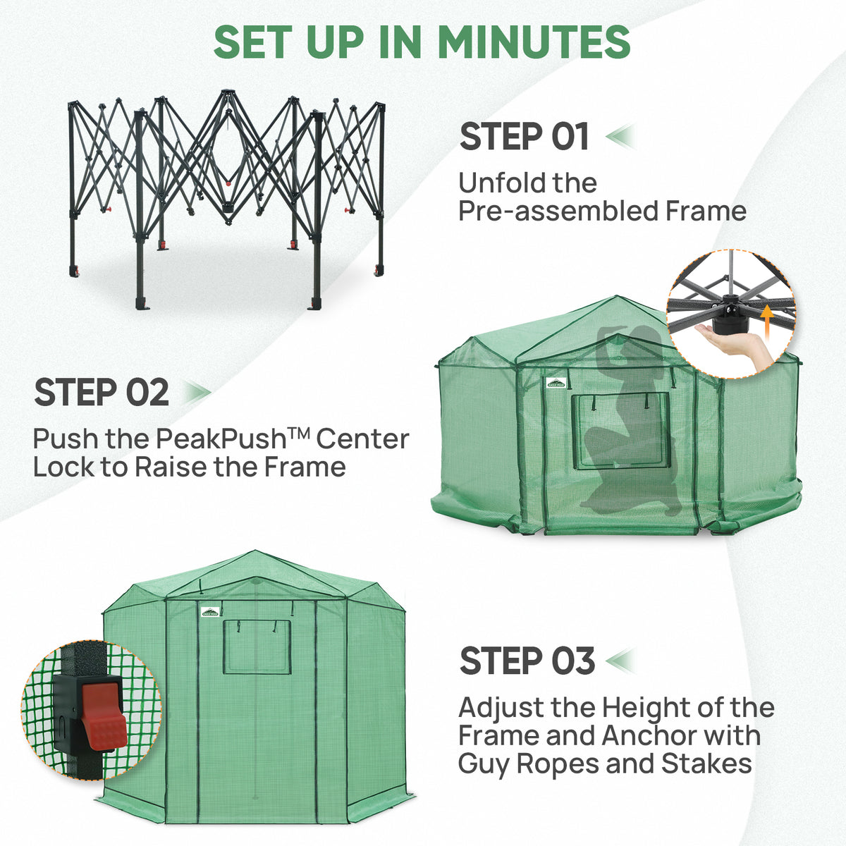 6.6x6.6/8.5x8.5 Easy Setup Pop Up Greenhouse, Hexagon