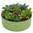 42'' Round 17'' Tall Raised Garden Bed Planter - Eagle Peak®
