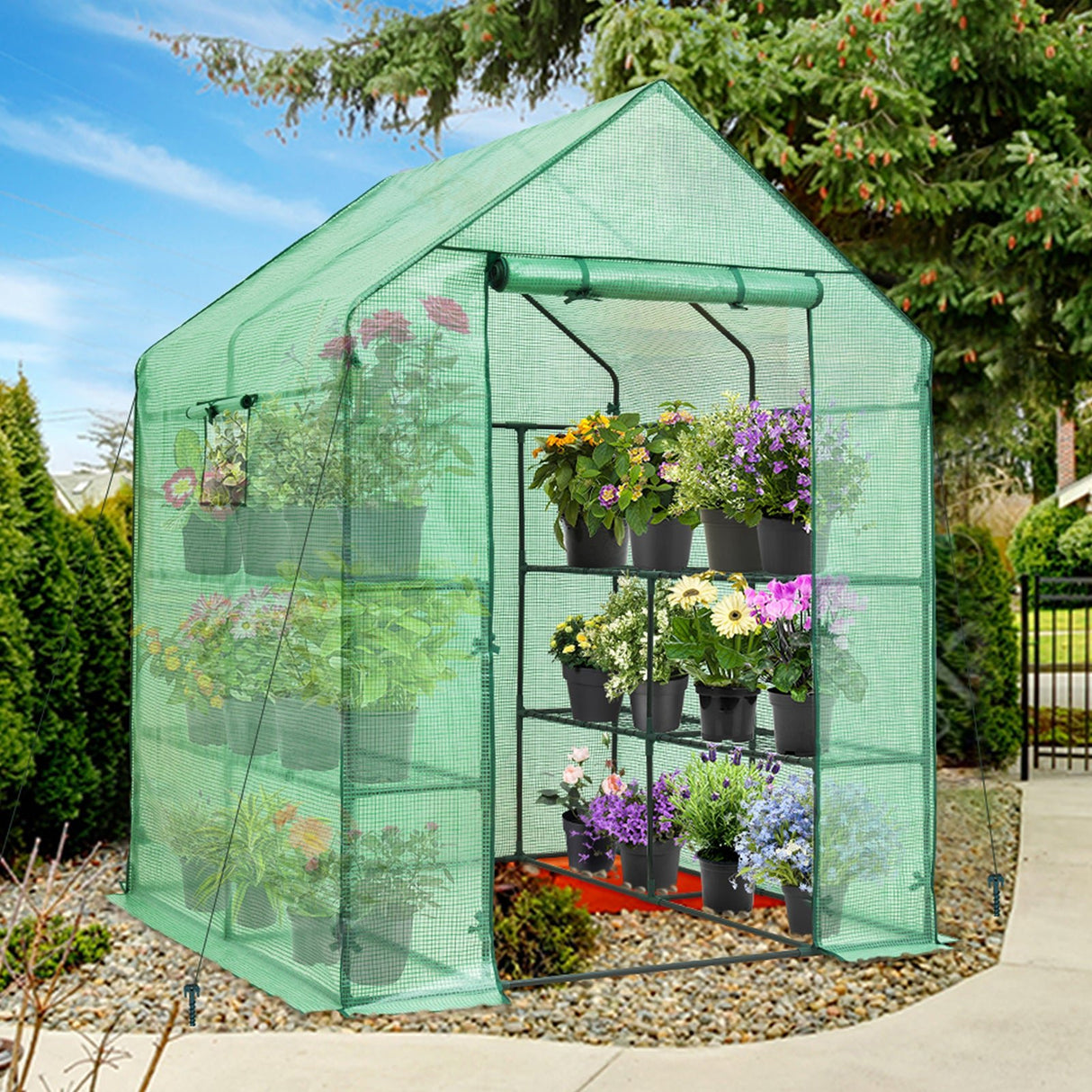 57'' x 57'' x 77'' Mini Walk - in Greenhouse - Eagle Peak