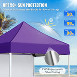 5x5 Straight Leg Pop Up Canopy Tent with One Removable Sunwall - Eagle Peak®