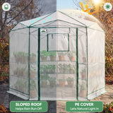 6.6x6.6/8.5x8.5 Easy Setup Pop Up Greenhouse, Hexagon
