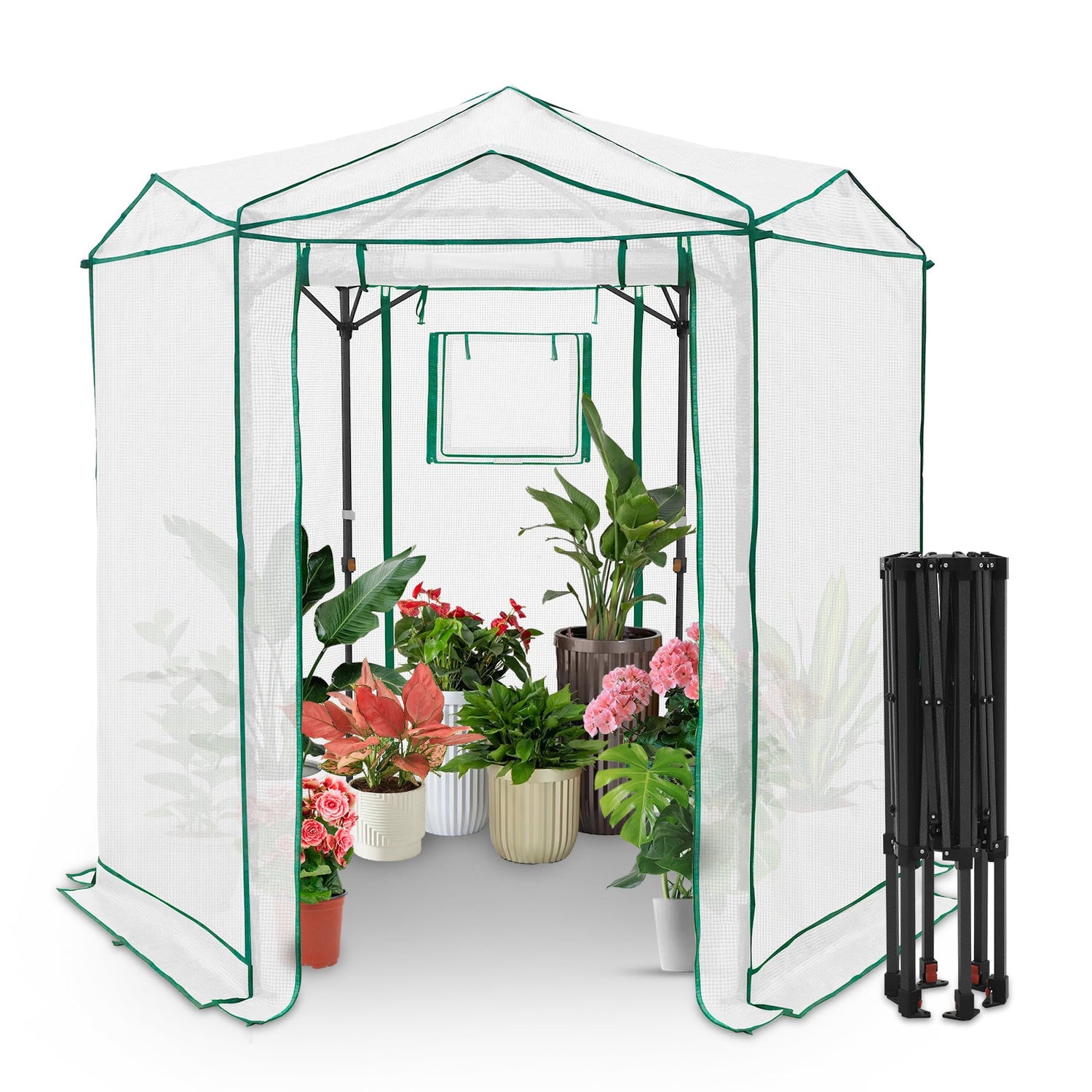 Eagle Peak Hexagon Pop-Up Greenhouse