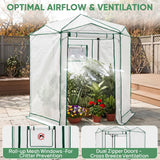 6.6x6.6/8.5x8.5 Easy Setup Pop Up Greenhouse, Hexagon - Eagle Peak®