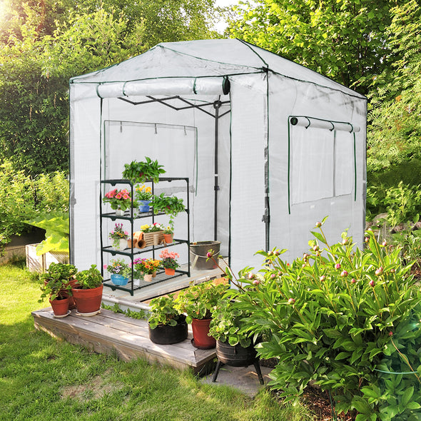 EAGLE PEAK 8x6 Fast Easy Setup Pop Up Garden Greenhouse, Instant Walk-In Indoor & Outdoor Garden Green House Canopy, Front and Rear Roll-Up Zipper Entry Doors and 2 Large Roll-Up Side Windows