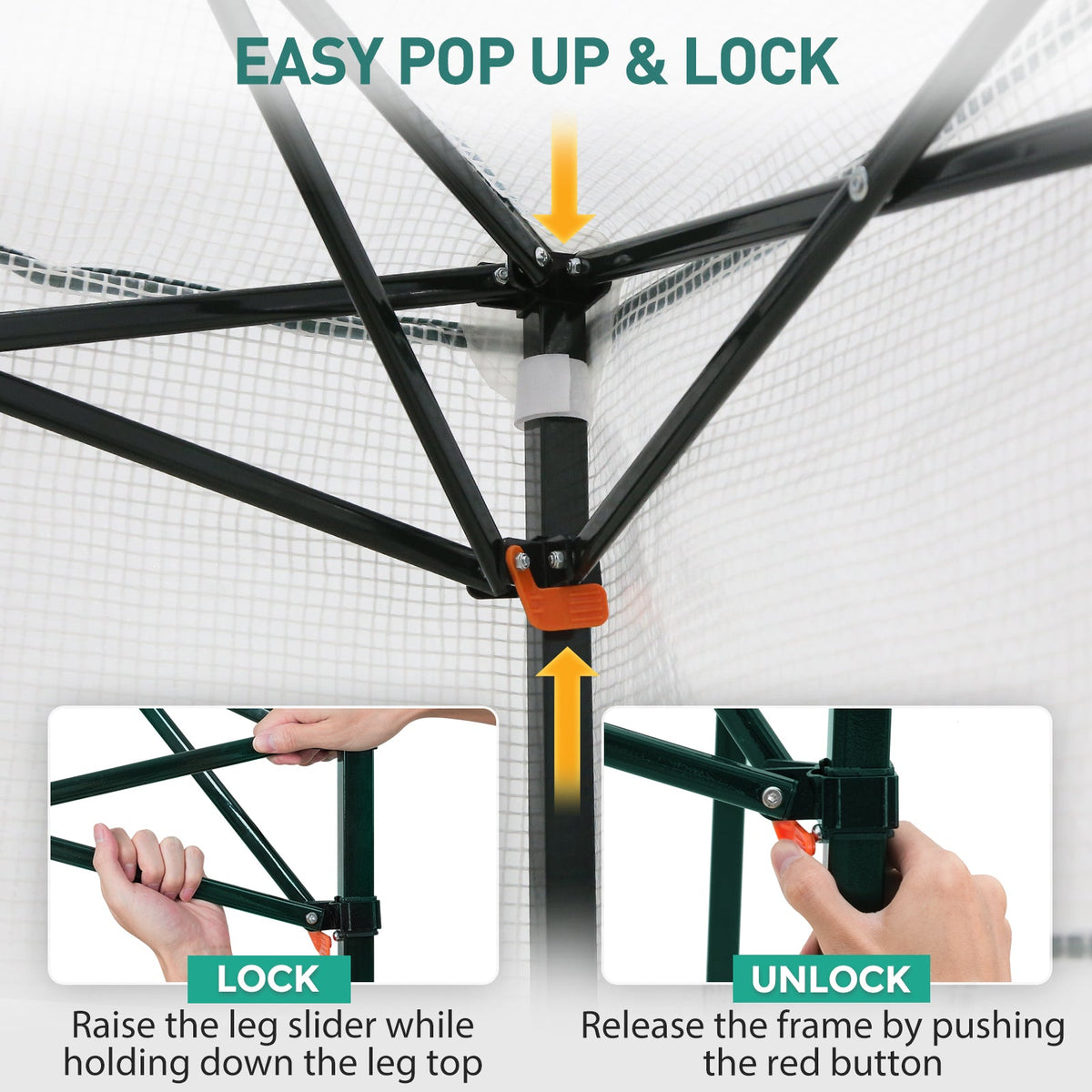 6x4 Easy Setup Small Pop Up Greenhouse - Eagle Peak®