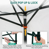 6x4 Easy Setup Small Pop Up Greenhouse - Eagle Peak®