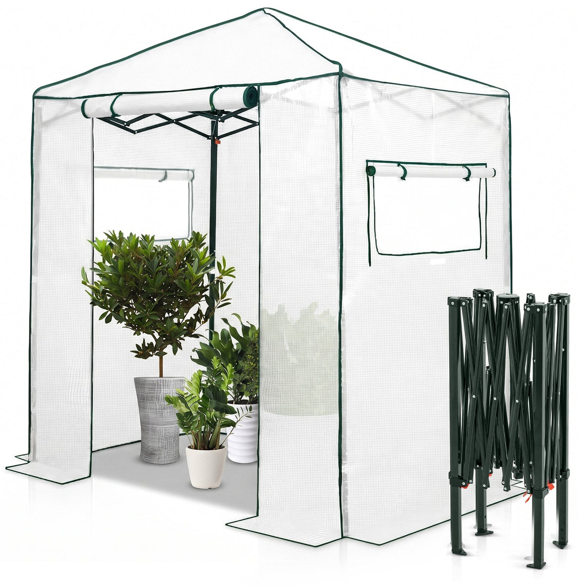 6x4 Easy Setup Small Pop Up Greenhouse - Eagle Peak®