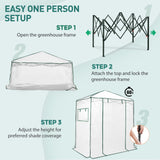 6x4 Easy Setup Small Pop Up Greenhouse - Eagle Peak®