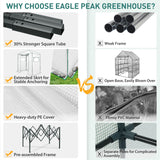 6x4 Easy Setup Small Pop Up Greenhouse - Eagle Peak®