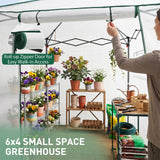 6x4 Easy Setup Small Pop Up Greenhouse - Eagle Peak®