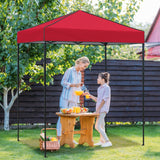 6x4 Instant Pop Up Canopy Tent - Eagle Peak Custom Canopy Tent
