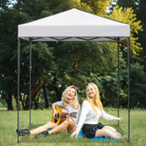 6x4 Instant Pop Up Canopy Tent - Eagle Peak Custom Canopy Tent