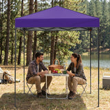 6x4 Instant Pop Up Canopy Tent - Eagle Peak®