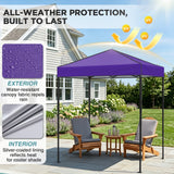 6x4 Instant Pop Up Canopy Tent - Eagle Peak®