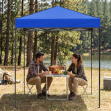 6x4 Instant Pop Up Canopy Tent - Eagle Peak®