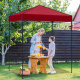 6x4 Instant Pop Up Canopy Tent - Eagle Peak Custom Canopy Tent