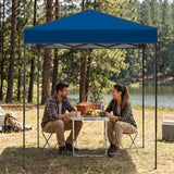 6x4 Instant Pop Up Canopy Tent - Eagle Peak®