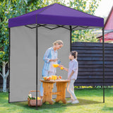 6x4 Instant Pop Up Canopy Tent with 1 Side Wall Panel - Eagle Peak Custom Canopy Tent