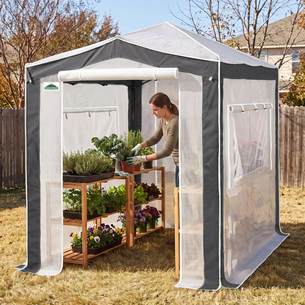 6x4/8x6/10x10 Walk In Pop Up Greenhouse - Eagle Peak®