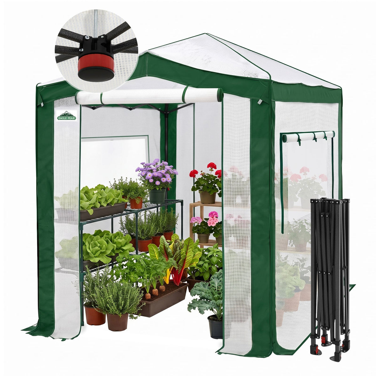 6x4/8x6/10x10 Walk In Pop Up Greenhouse - Eagle Peak®