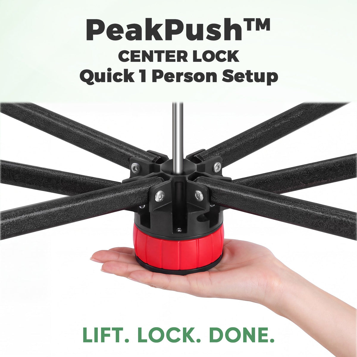 6x4/8x6/10x10 Walk In Pop Up Greenhouse - Eagle Peak®