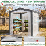 6x4/8x6/10x10 Walk In Pop Up Greenhouse - Eagle Peak®