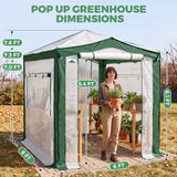 6x4/8x6/10x10 Walk In Pop Up Greenhouse - Eagle Peak®