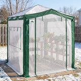 6x4/8x6/10x10 Walk In Pop Up Greenhouse - Eagle Peak®