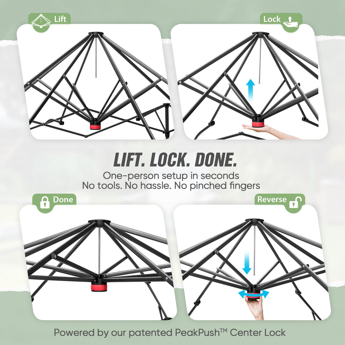 6x4/8x6/10x10 Walk In Pop Up Greenhouse - Eagle Peak®