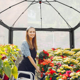 6x4/8x6/10x10 Walk In Pop Up Greenhouse - Eagle Peak®