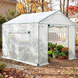 6x6/ 6x8/ 8x8/ 10x10 Pop Up Walk In Greenhouse, Easy Setup, Gable Roof - Eagle Peak®