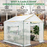 6x6/ 6x8/ 8x8/ 10x10 Pop Up Walk In Greenhouse, Easy Setup, Gable Roof - Eagle Peak®