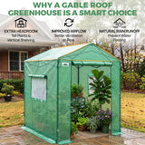 6x6/ 6x8/ 8x8/ 10x10 Pop Up Walk In Greenhouse, Easy Setup, Gable Roof - Eagle Peak®