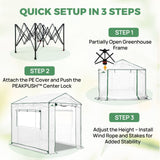 6x6/ 6x8/ 8x8/ 10x10 Pop Up Walk In Greenhouse, Easy Setup, Gable Roof - Eagle Peak®