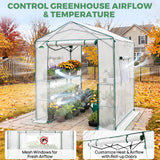 6x6/ 6x8/ 8x8/ 10x10 Pop Up Walk In Greenhouse, Easy Setup, Gable Roof - Eagle Peak®