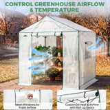 6x6/ 6x8/ 8x8/ 10x10 Pop Up Walk In Greenhouse, Easy Setup, Gable Roof - Eagle Peak®