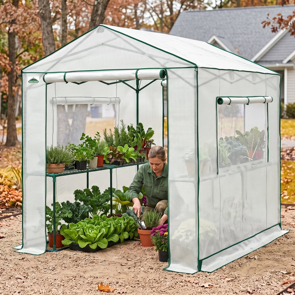 6x6/ 6x8/ 8x8/ 10x10 Pop Up Walk In Greenhouse, Easy Setup, Gable Roof - Eagle Peak®