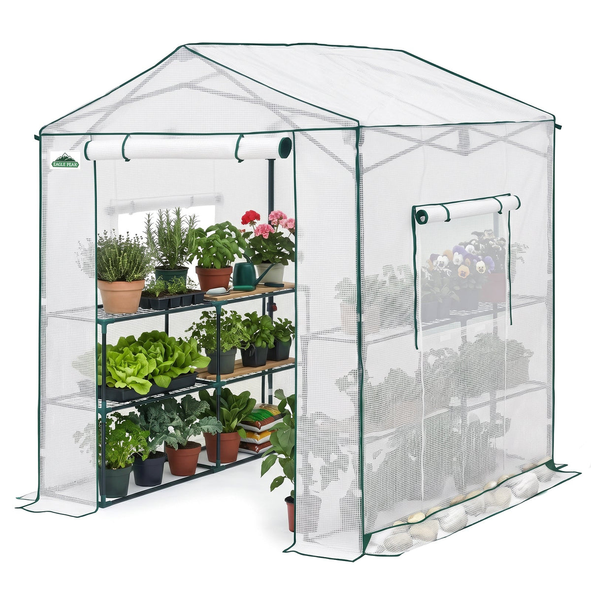 6x6/ 6x8/ 8x8/ 10x10 Pop Up Walk In Greenhouse, Easy Setup, Gable Roof - Eagle Peak®
